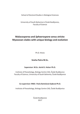 Malacosporea and Sphaerospora Sensu Stricto : Myxozoan Clades