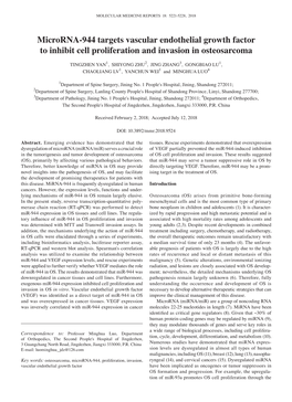 Microrna‑944 Targets Vascular Endothelial Growth Factor to Inhibit Cell Proliferation and Invasion in Osteosarcoma