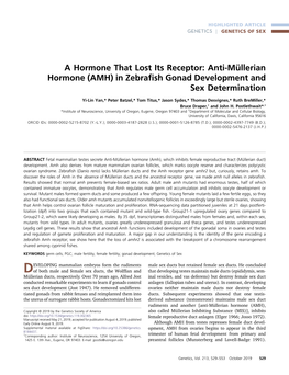 A Hormone That Lost Its Receptor: Anti-Müllerian Hormone (AMH) in Zebraﬁsh Gonad Development and Sex Determination