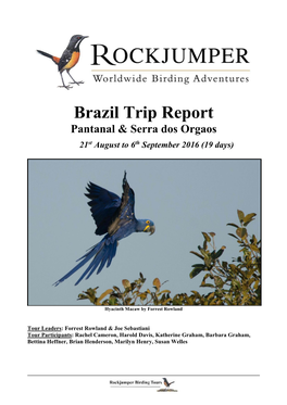 Brazil Trip Report Pantanal & Serra Dos Orgaos