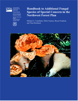 Fungi, Truffles, Biodiversity, Monitoring, Rare Fungi, Forest Ecology