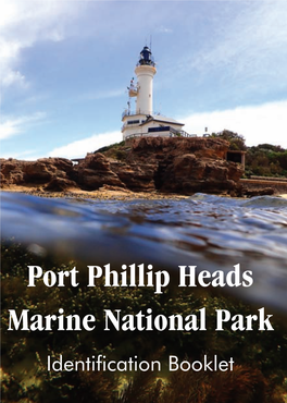 Port Phillip Heads Marine National Park Identification Booklet Port Phillip Heads Marine National Park Identification Booklet Acknowledgements