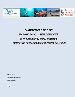 Sustainable Use of Marine Ecosystem Services in Inhambane, Mozambique – Identifying Problems and Proposing Solutions