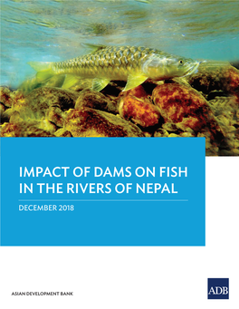 Impact of Dams on Fish in the Rivers of Nepal