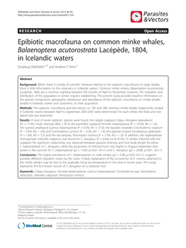 Epibiotic Macrofauna on Common Minke Whales, Balaenoptera Acutorostrata Lacépède, 1804, in Icelandic Waters Droplaug Ólafsdóttir1,3* and Andrew P Shinn2