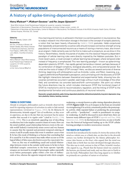 A History of Spike-Timing-Dependent Plasticity