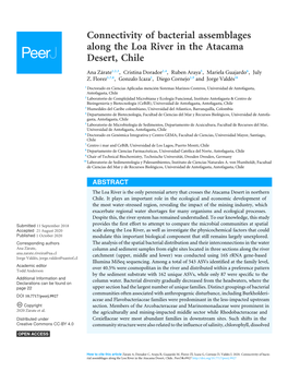 Connectivity of Bacterial Assemblages Along the Loa River in the Atacama Desert, Chile