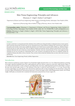 Skin Tissue Engineering: Principles and Advances