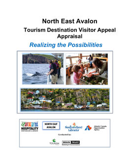 North East Avalon Tourism Destination Visitor Appeal Appraisal Realizing the Possibilities