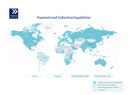 Payment and Collection Capabilities