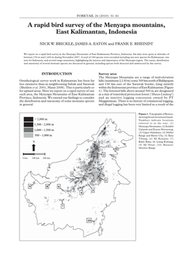 A Rapid Bird Survey of the Menyapa Mountains, East Kalimantan, Indonesia