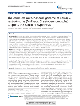 The Complete Mitochondrial Genome of Scutopus Ventrolineatus