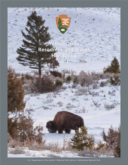 Yellowstone Resources and Issues Handbook 2012