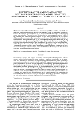 Mature Larvae of Bembix Bidentata and Its Parasitoids 43