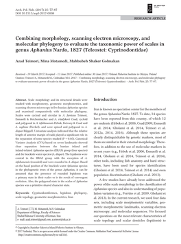 Combining Morphology, Scanning Electron Microscopy, and Molecular