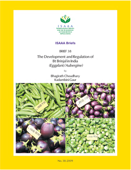 The Development and Regulation of Bt Brinjal in India (Eggplant/Aubergine)