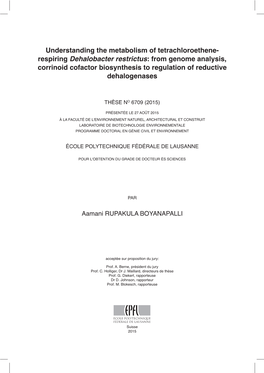 Understanding the Metabolism of Tetrachloroethene-Respiring