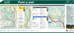 PONT Y PAIR Panel