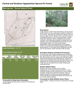 Central and Southern Appalachian Spruce-Fir Forest