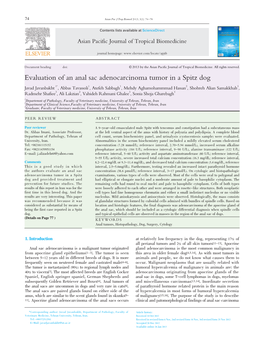 Evaluation of an Anal Sac Adenocarcinoma Tumor in a Spitz Dog