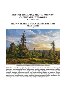 Best of Finland & Arctic Norway Capercaillie To