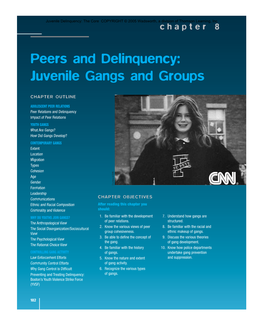 Peers and Delinquency: Juvenile Gangs and Groups