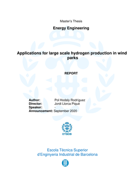 Applications for Large Scale Hydrogen Production in Wind Parks