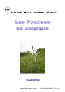 Poaceae De Belgique