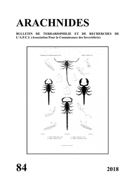 Arachnides 84, 2018