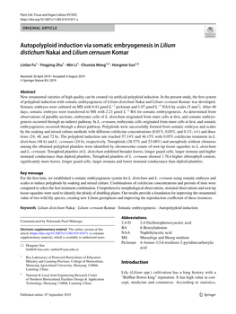 Autopolyploid Induction Via Somatic Embryogenesis in Lilium Distichum Nakai and Lilium Cernuum Komar