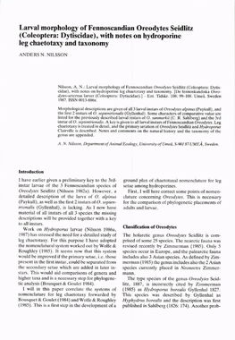 (Coleoptera: Dytiscidae), with Notes on Hydroporine Leg Chaetotaxy and Taxonomy