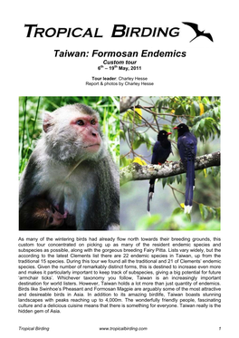 Taiwan: Formosan Endemics Custom Tour 6Th – 19Th May, 2011