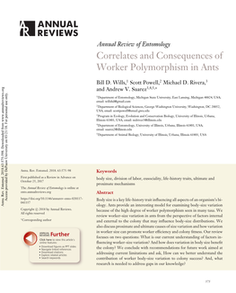 Correlates and Consequences of Worker Polymorphism in Ants