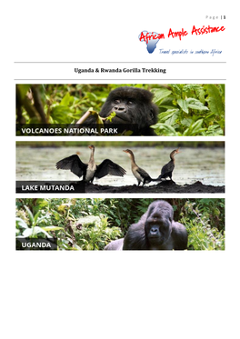 Uganda & Rwanda Gorilla Trekking