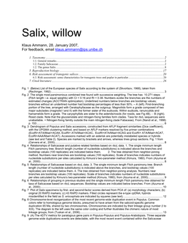 Salix, Willow