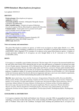 EPPO Datasheet: Rhynchophorus Ferrugineus