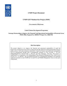 Financing Plan for the 2 Pas, with Some of the Initial Implementation Supported by the GEF Grant