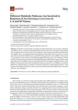 Different Metabolic Pathways Are Involved in Response of Saccharomyces Cerevisiae to L-A and M Viruses