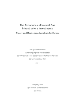 The Economics of Natural Gas Infrastructure Investments