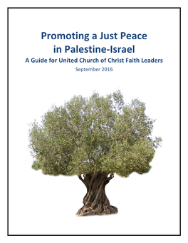 Promoting a Just Peace in Palestine-Israel