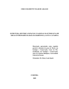 Ciro Colodetti Vilar De Araujo Estrutura, Dinâmica