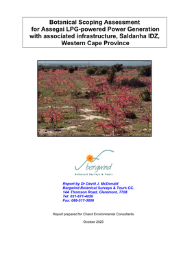 Botanical Scoping Assessment for Assegai LPG-Powered Power Generation with Associated Infrastructure, Saldanha IDZ, Western Cape Province