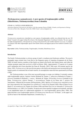 Zootaxa,Trichomycterus Santanderensis: A