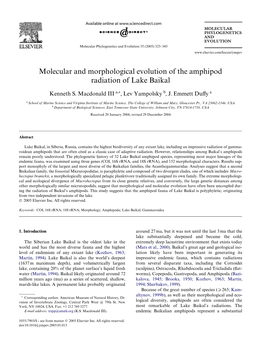 Molecular and Morphological Evolution of the Amphipod Radiation of Lake Baikal