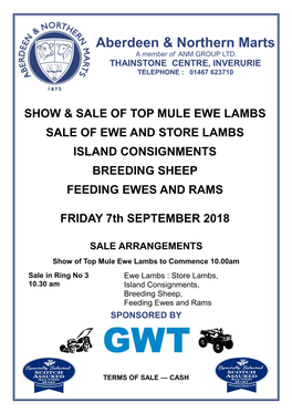 Mule Ewe Lambs Sale of Ewe and Store Lambs Island Consignments Breeding Sheep