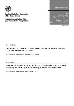 Report of the FAO Working Group on the Assessment of Small Pelagic Fish Off Northwest Africa. Nouadhibou, Mauritania from 10 to 15 June 2013