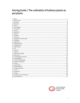 Cultivations of Bulbous Plants As Pot Plants