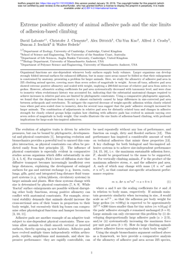 Extreme Positive Allometry of Animal Adhesive Pads and the Size Limits of Adhesion-Based Climbing