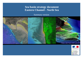 Sea Basin Strategy Document Eastern Channel - North Sea