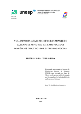 Diabetes Mellitus; Myrcia Bella; Plantas Medicinais; Sinalização Intracelular